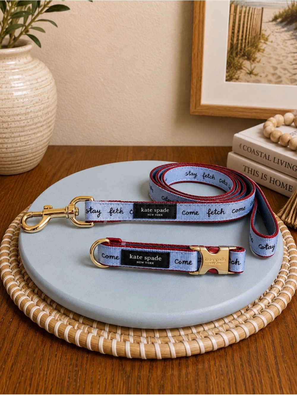 kate spade Light Blue and Red Dog Collar & Leash Set